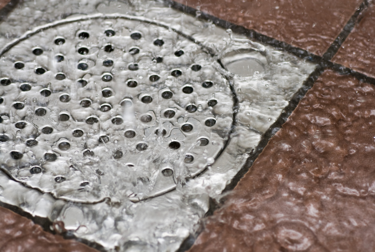 How to Unclog a Shower Drain