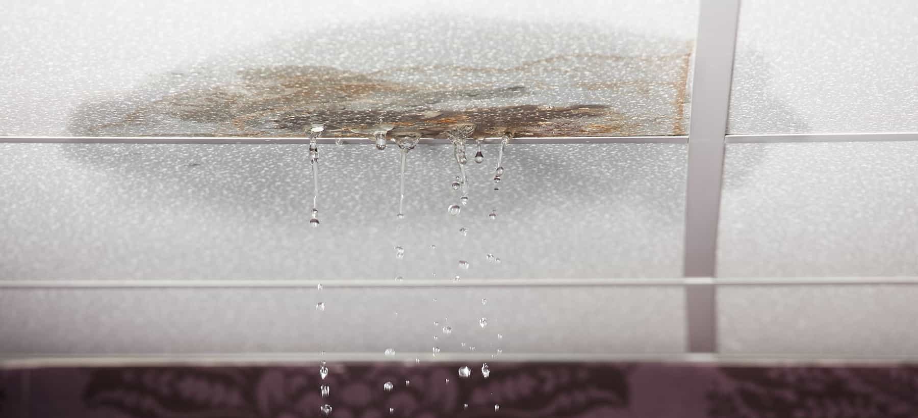 Leaking Water Through Ceiling: Identifying and Fixing Upstairs Bathroom Leaks